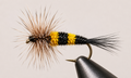 Bumble Bee