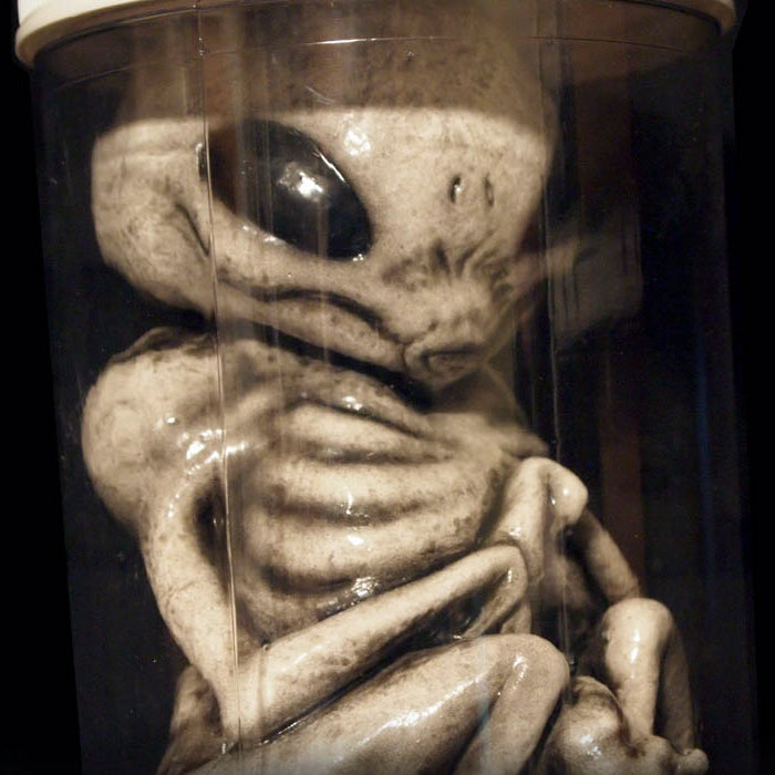 Grey Alien Monster Embryo in Formaldehyde Jar Prop