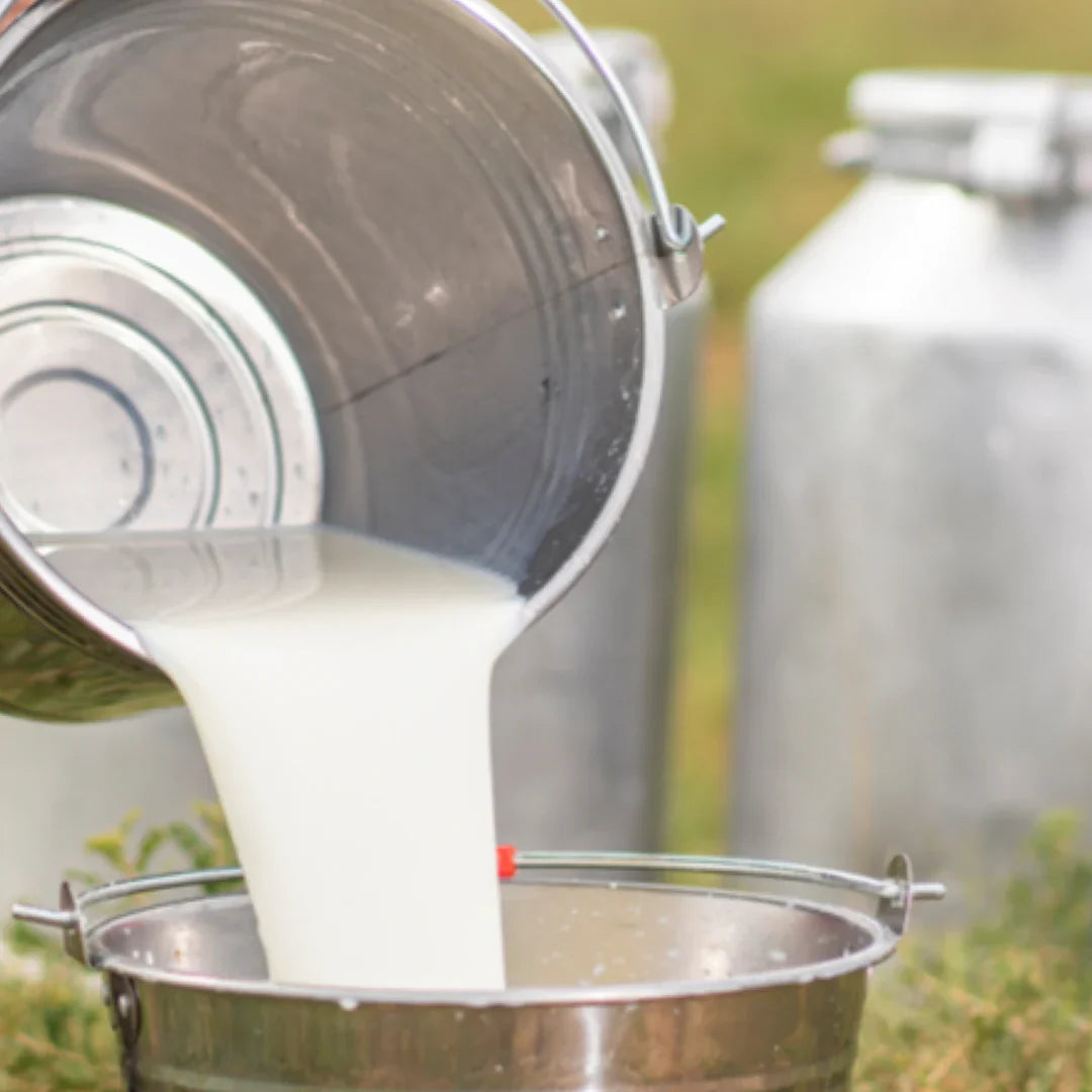 Barra de Jabón Artesanal de Sebo y Leche de Cabra Sin Fragancia Milk + Honey