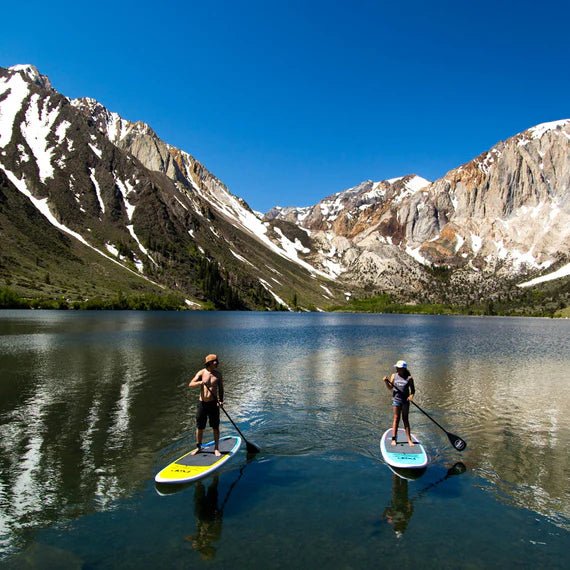 10'6 Amigo Wood