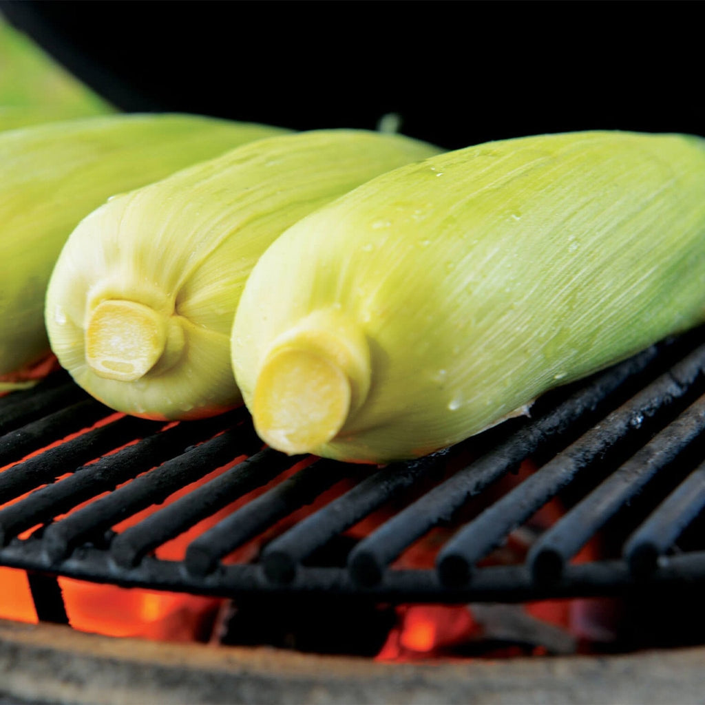 Parrilla Kamado de Cerámica Primo Oval XL 400 con Rejillas de Acero Inoxidable [PGCXLH] (SAK23100)