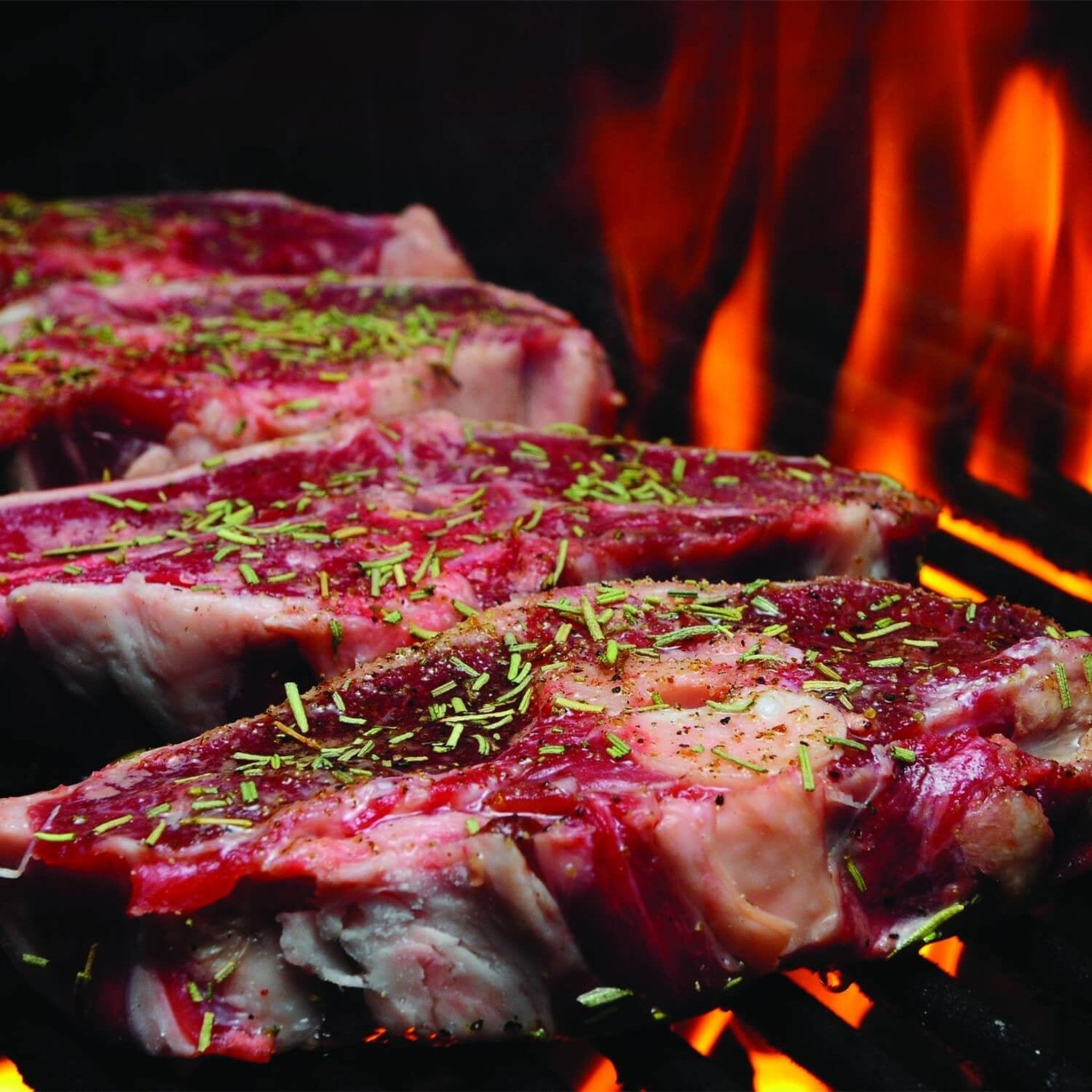 Parrilla Kamado de Cerámica Primo Oval XL 400 con Rejillas de Acero Inoxidable [PGCXLH] (SAK23100)