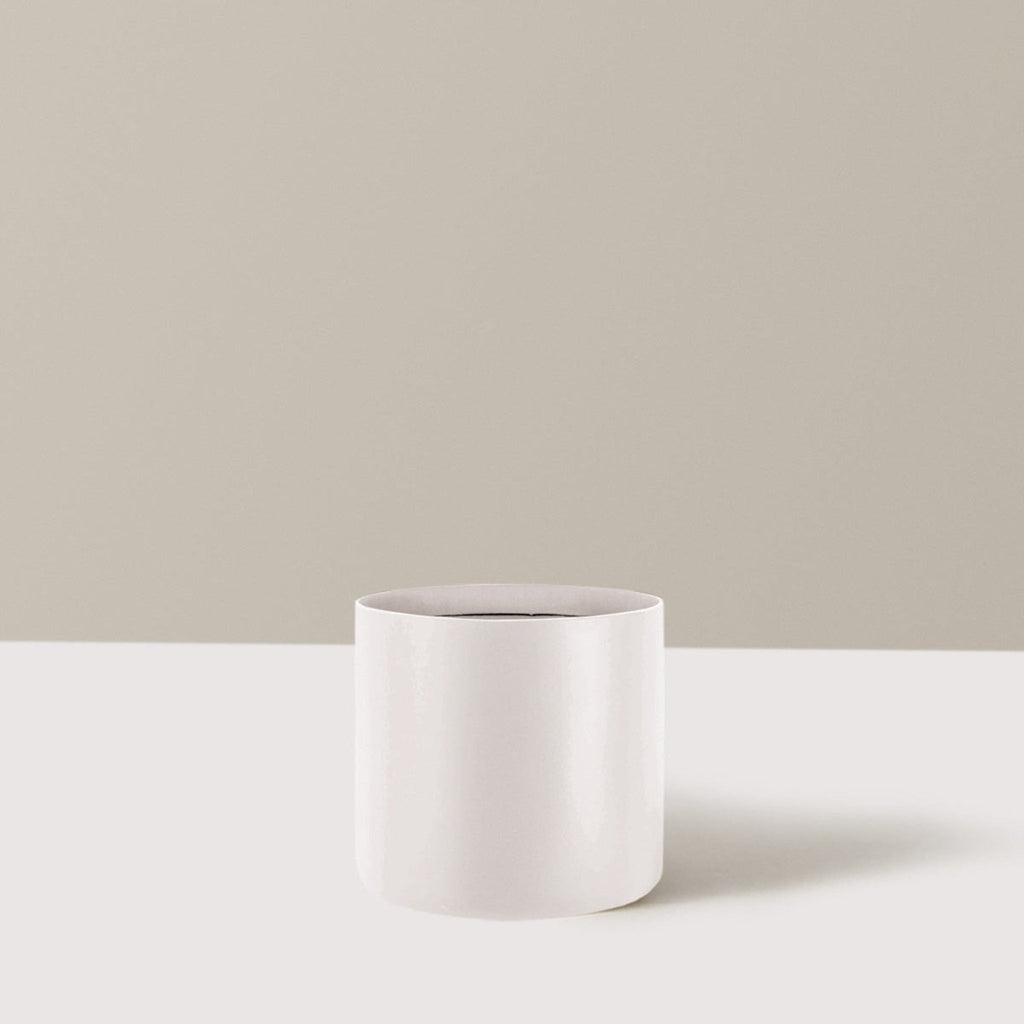 Agnes Planter