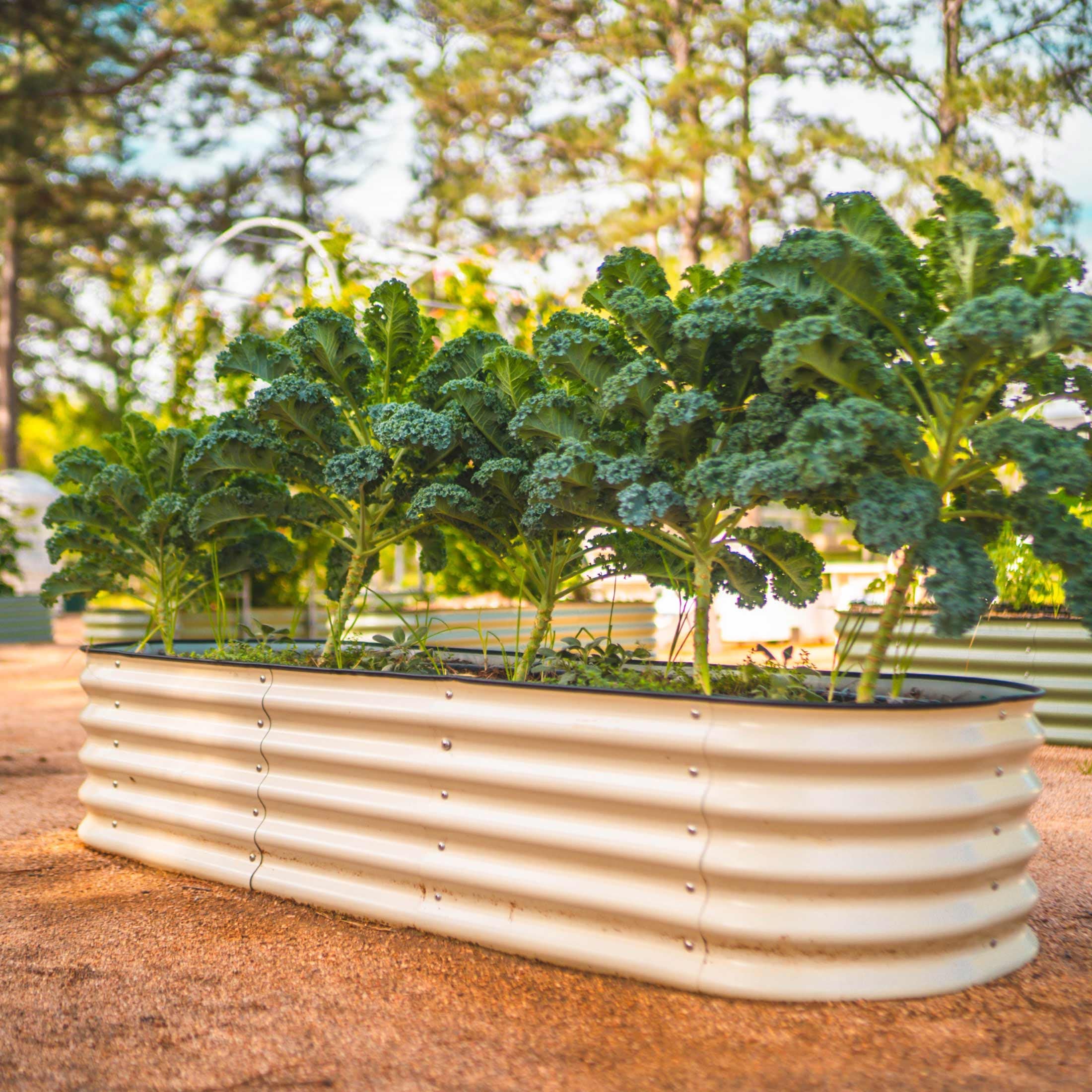 Kit de jardinera metálica modular elevada de 6 en 1 de 43 cm de altura