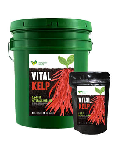 Vital Kelp - Soluble Kelp Fertilizer 0.5-0-17