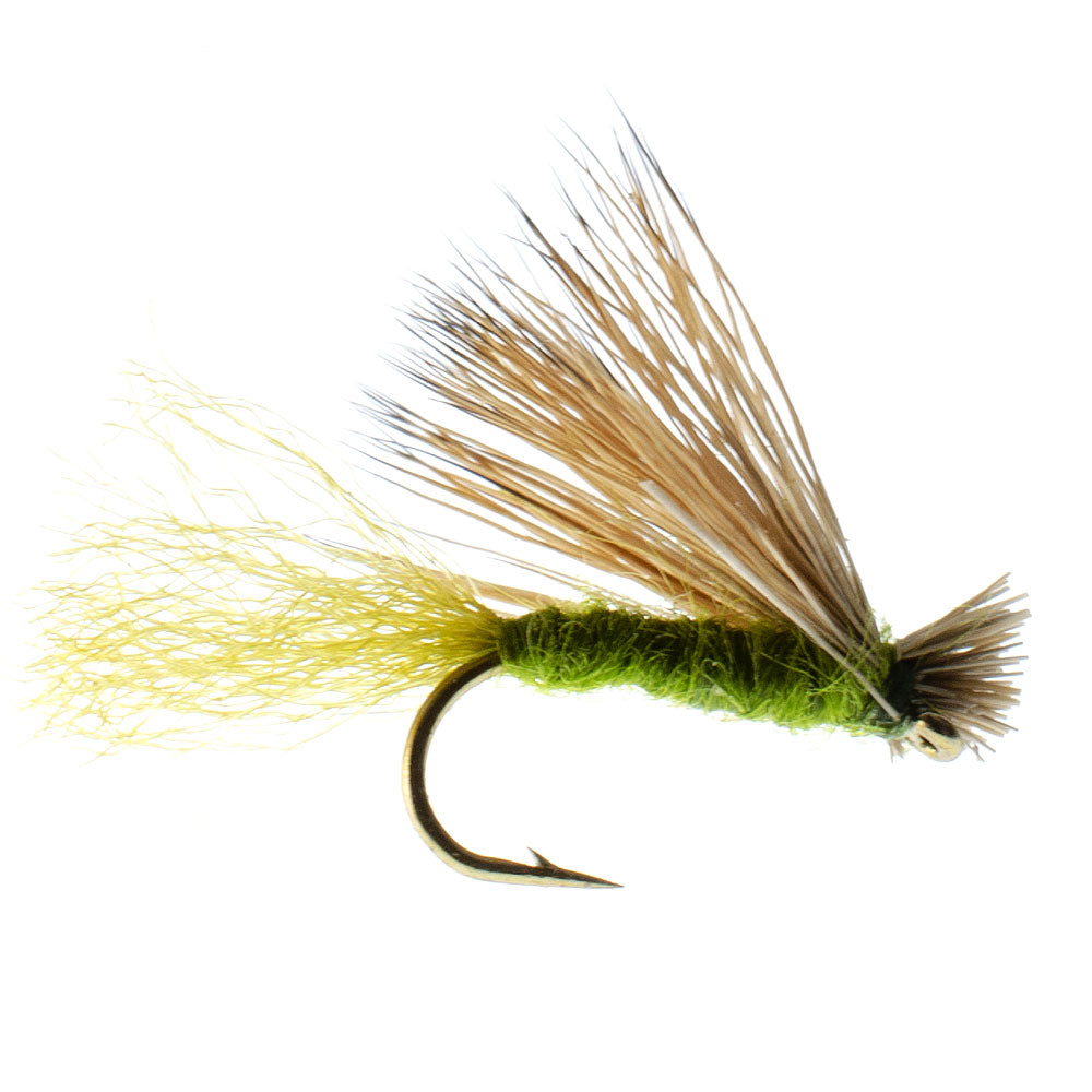 Barbless Olive X Caddis Emerging Caddis Adult Fly - 12 Flies Size 14